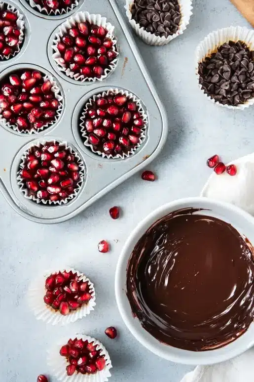 Pomegranate Dark Chocolate Bites